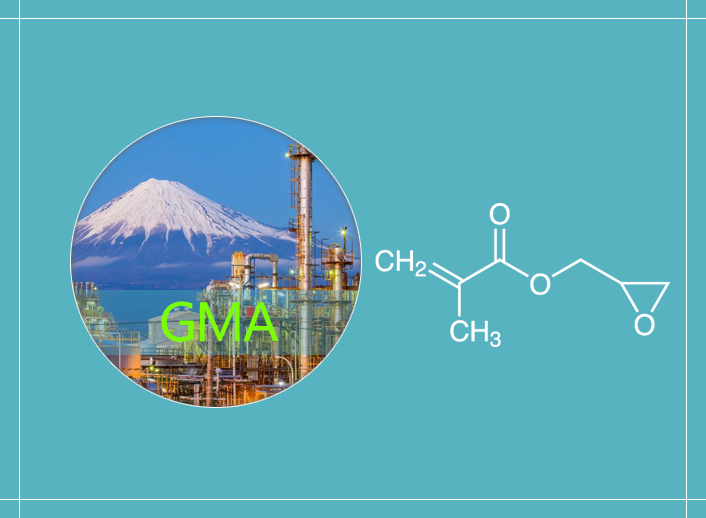 甲基丙烯酸缩水甘油酯市场：全球行业分析和预测